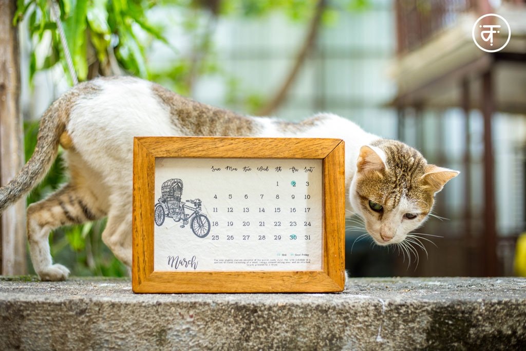 Kyaari gallery image