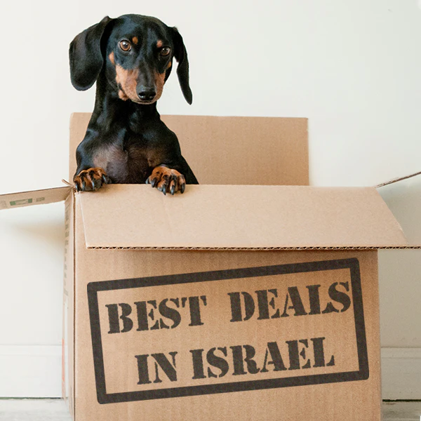 Free Shipping Filter חיפוש משלוח חינם