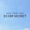 The Ecom Secret