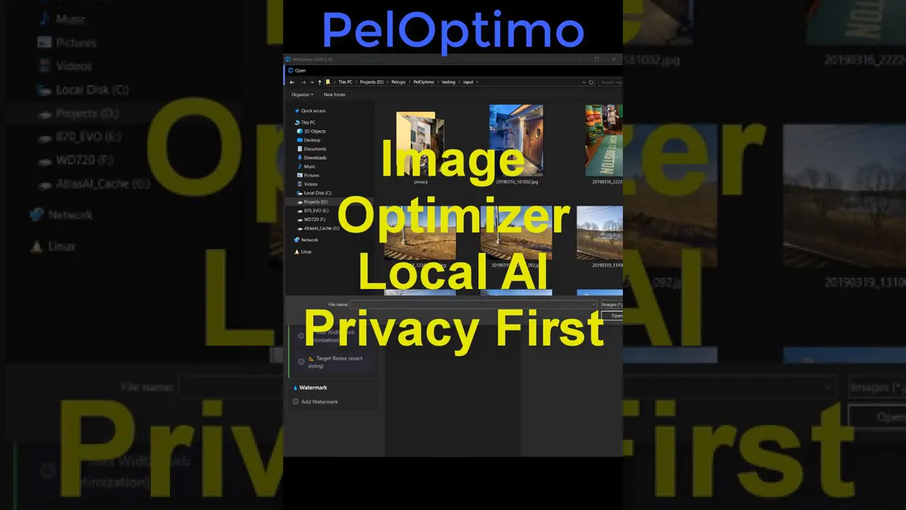 PelOptimo 2026.1 gallery image