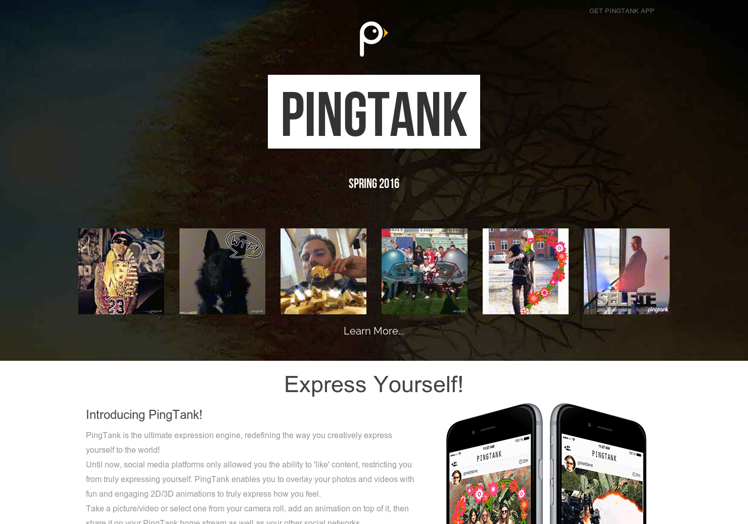 PingTank