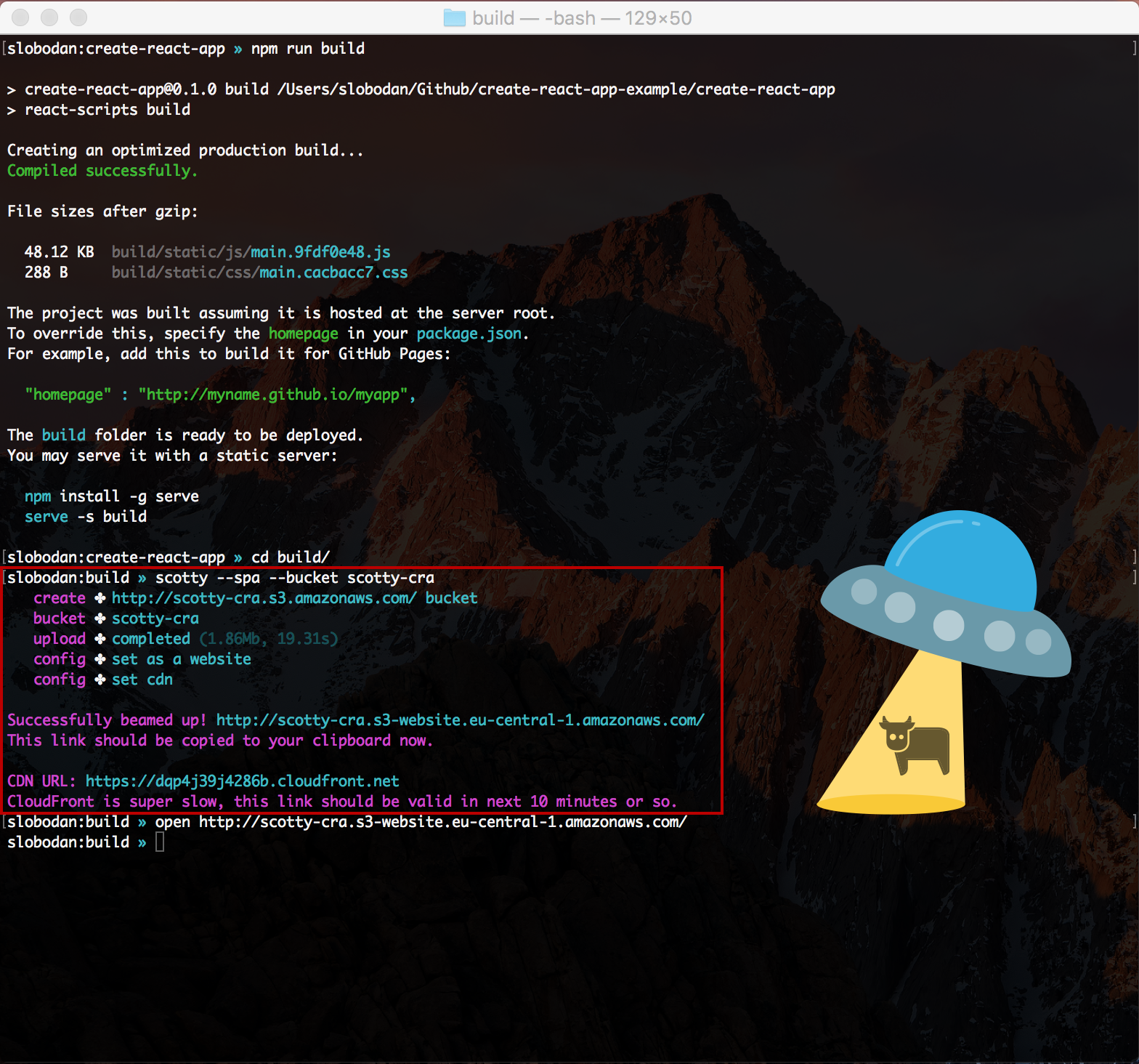 Scotty gallery image