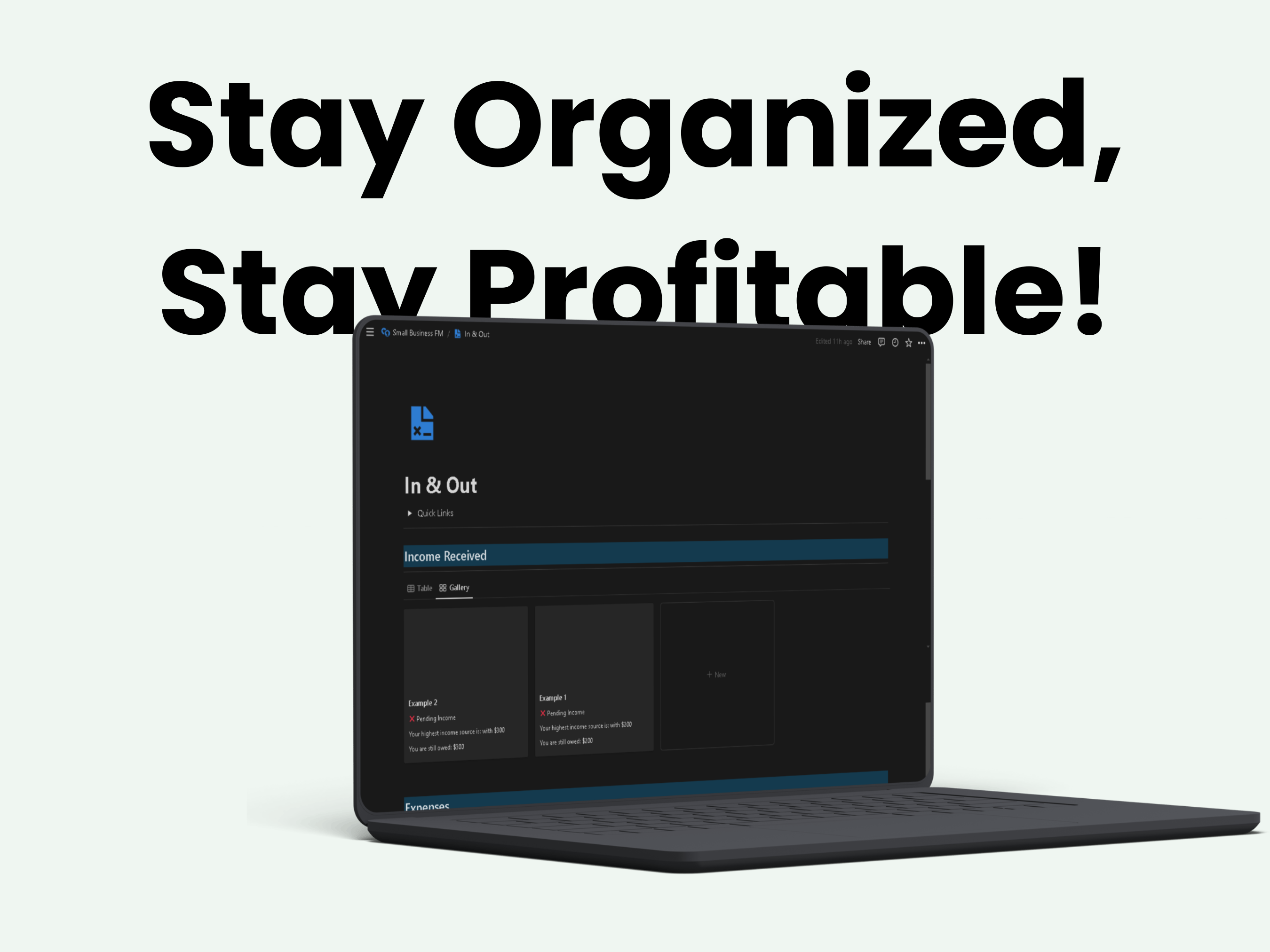 Small Business Notion Finance Tracker gallery image