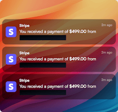 Stripe Payment Notification Generator gallery image