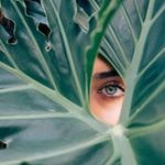 Free Lightroom presets