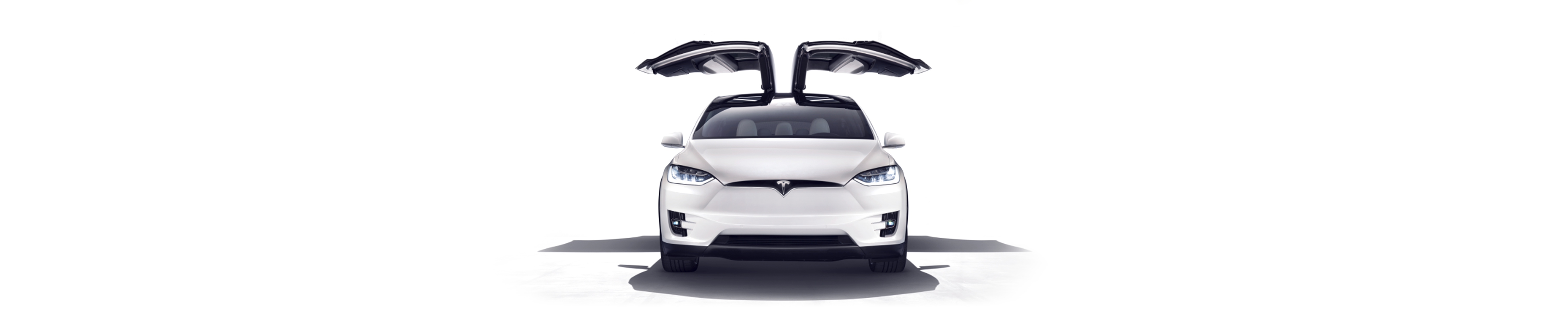 Tesla Merchandise gallery image