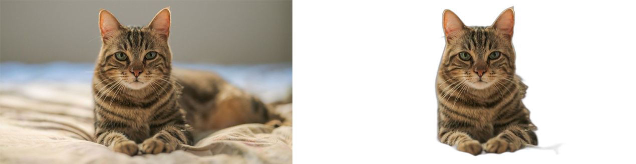 No More Background gallery image