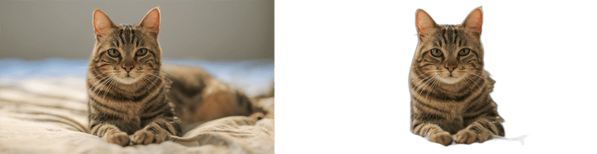 No More Background gallery image