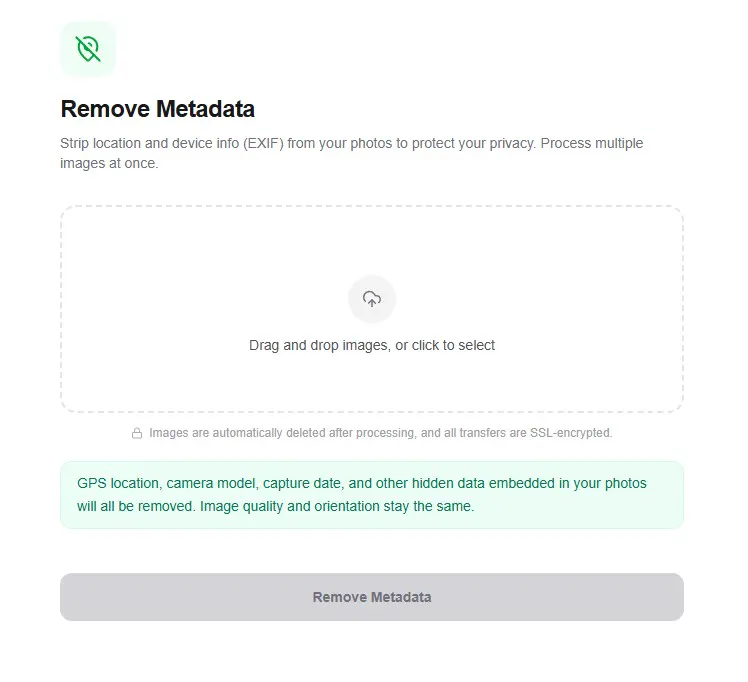 mylifeimg gallery image