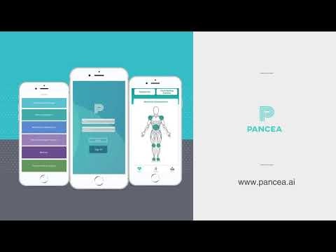 Pancea gallery image