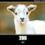 HTTP Status Goats API