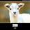 HTTP Status Goats API