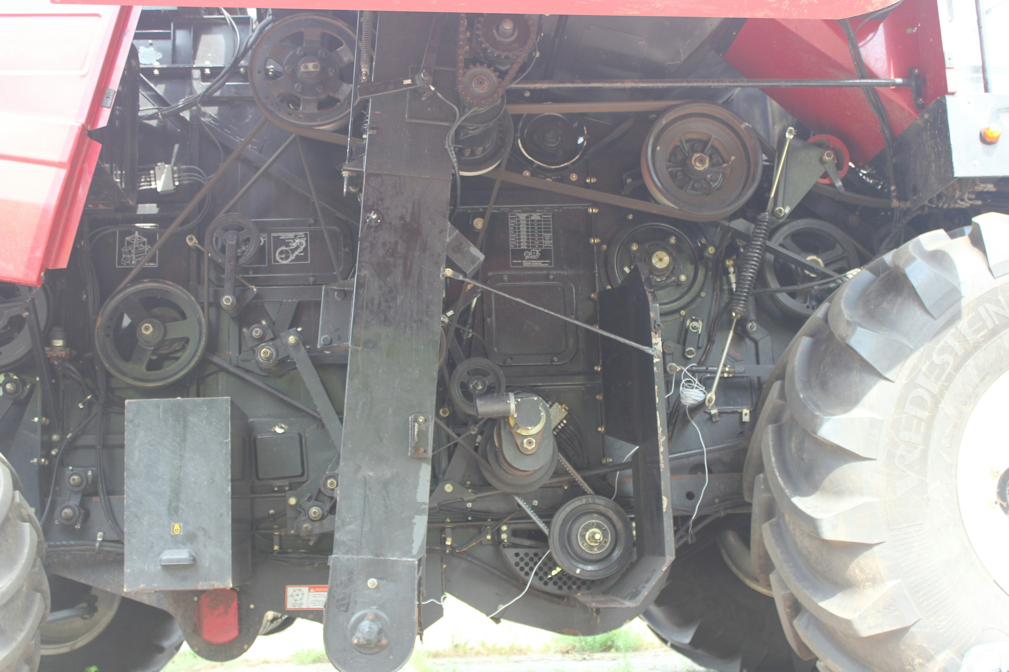 Green Growth gallery image