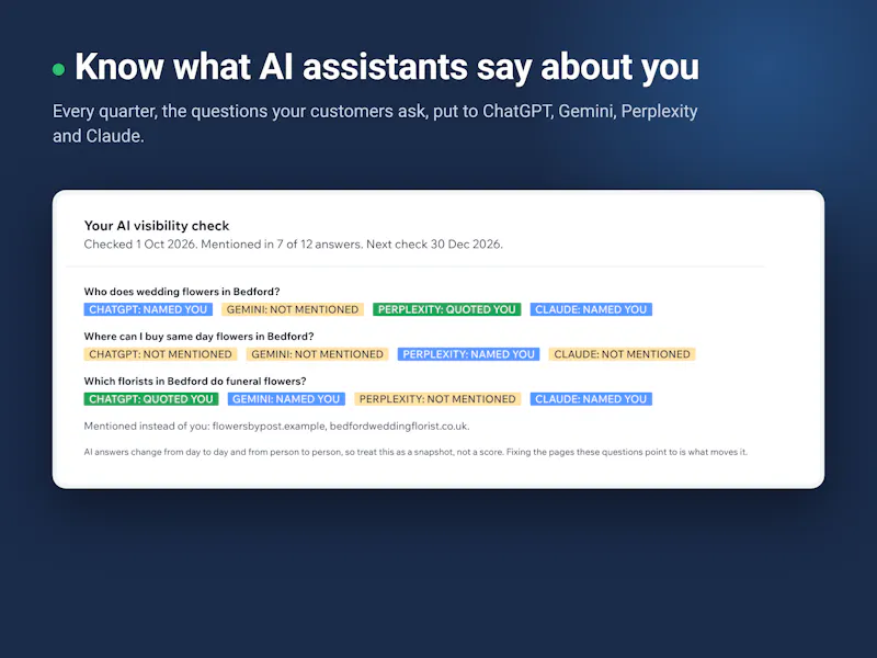 SEO Fix in a Box screenshot 3