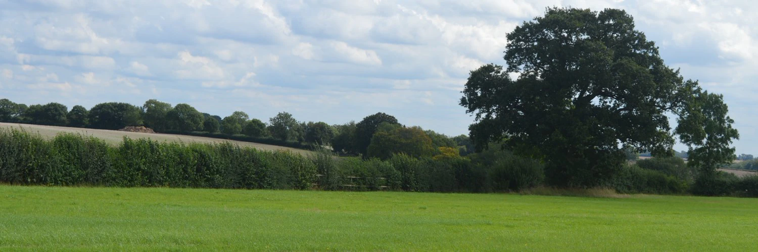 Arran Ferguson cover