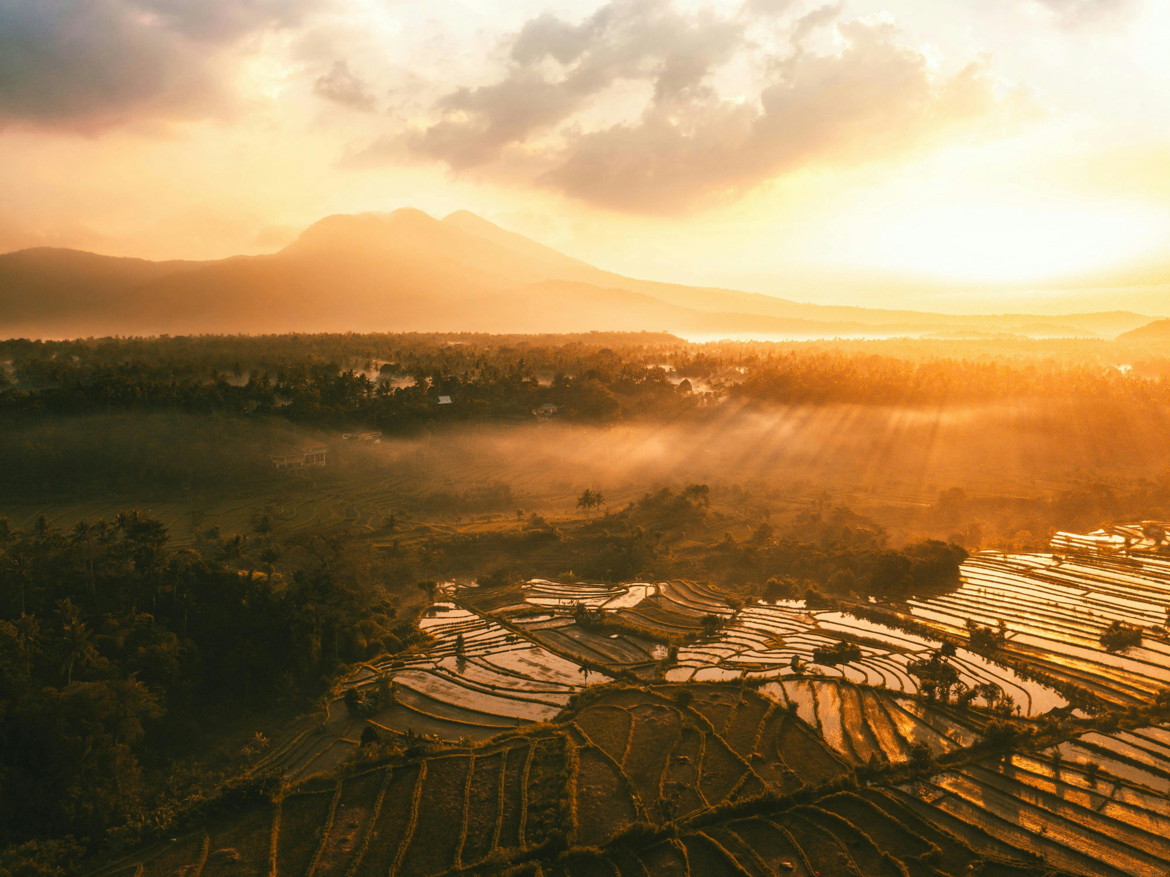 Bali Trip Itinerary screenshot 5