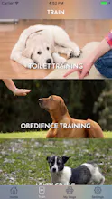 My Dog App - Care my Dog gallery image