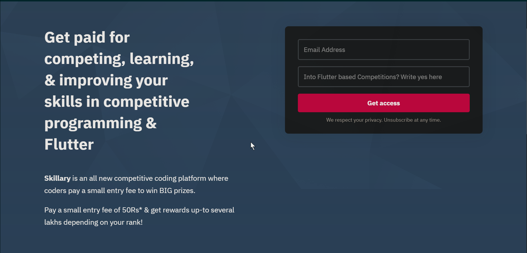 Skillary: Earn while coding gallery image