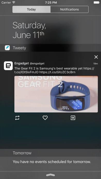 Tweety gallery image