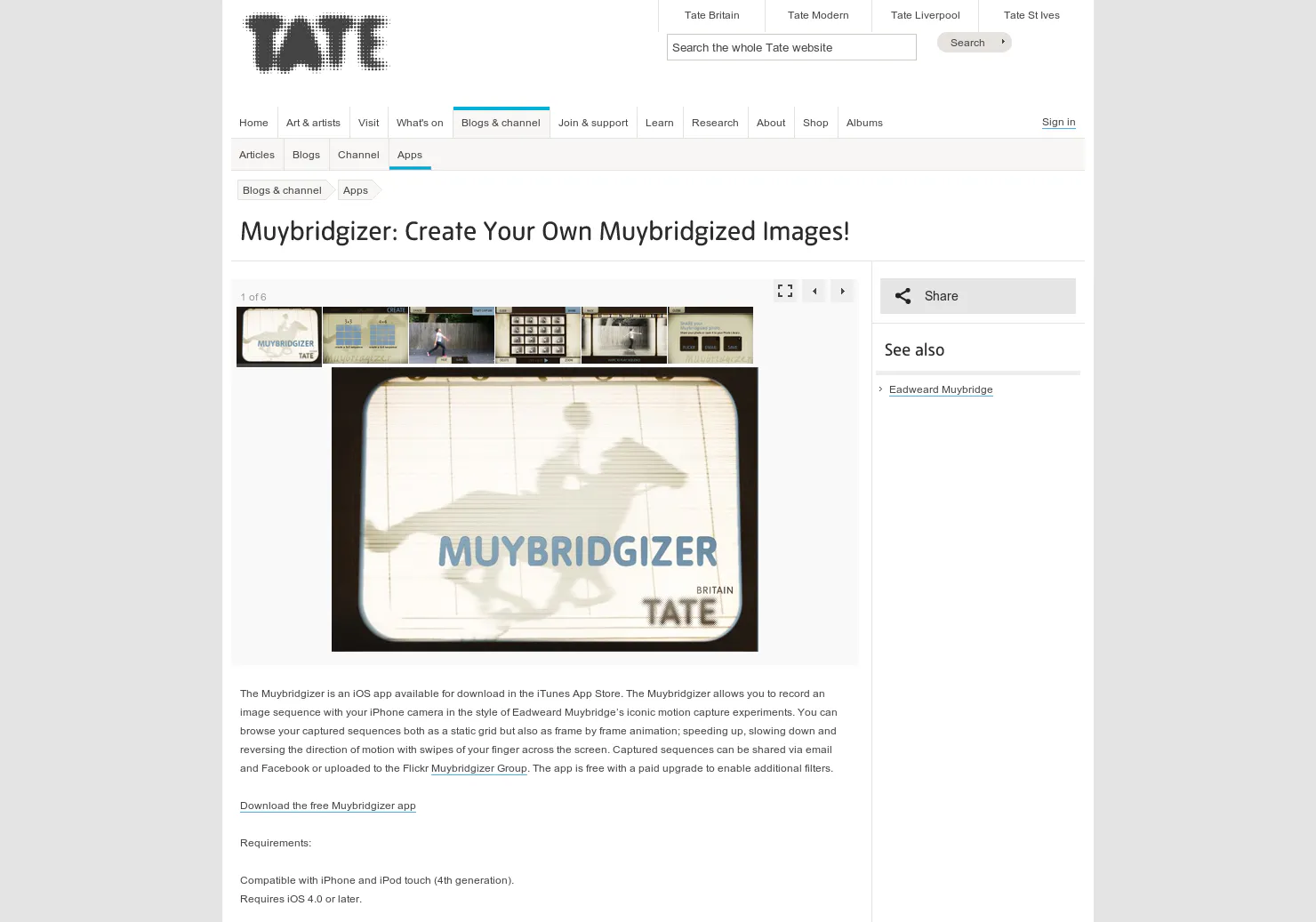 Muybridgizer
