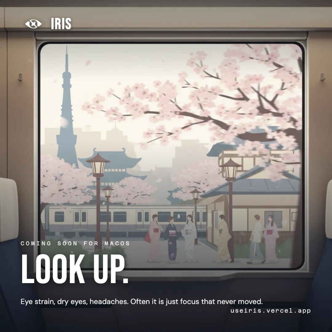 Iris gallery image