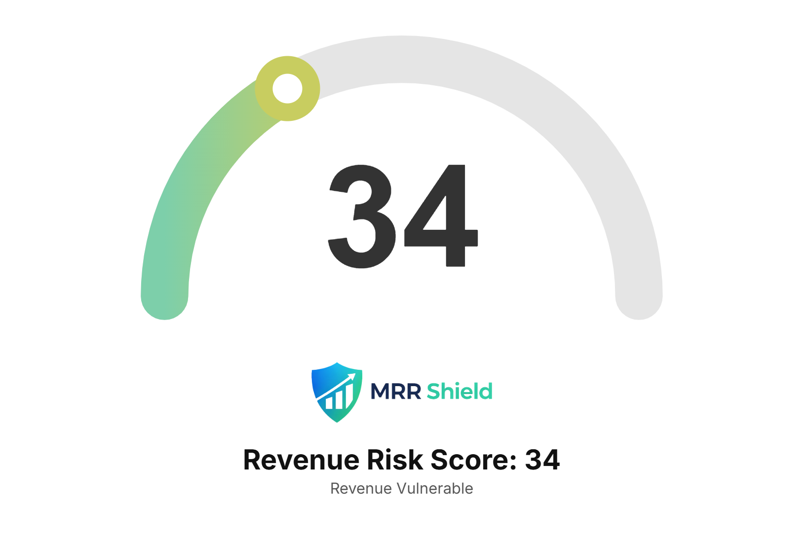 MRR Shield - Screenshot 2 showing product features and functionality