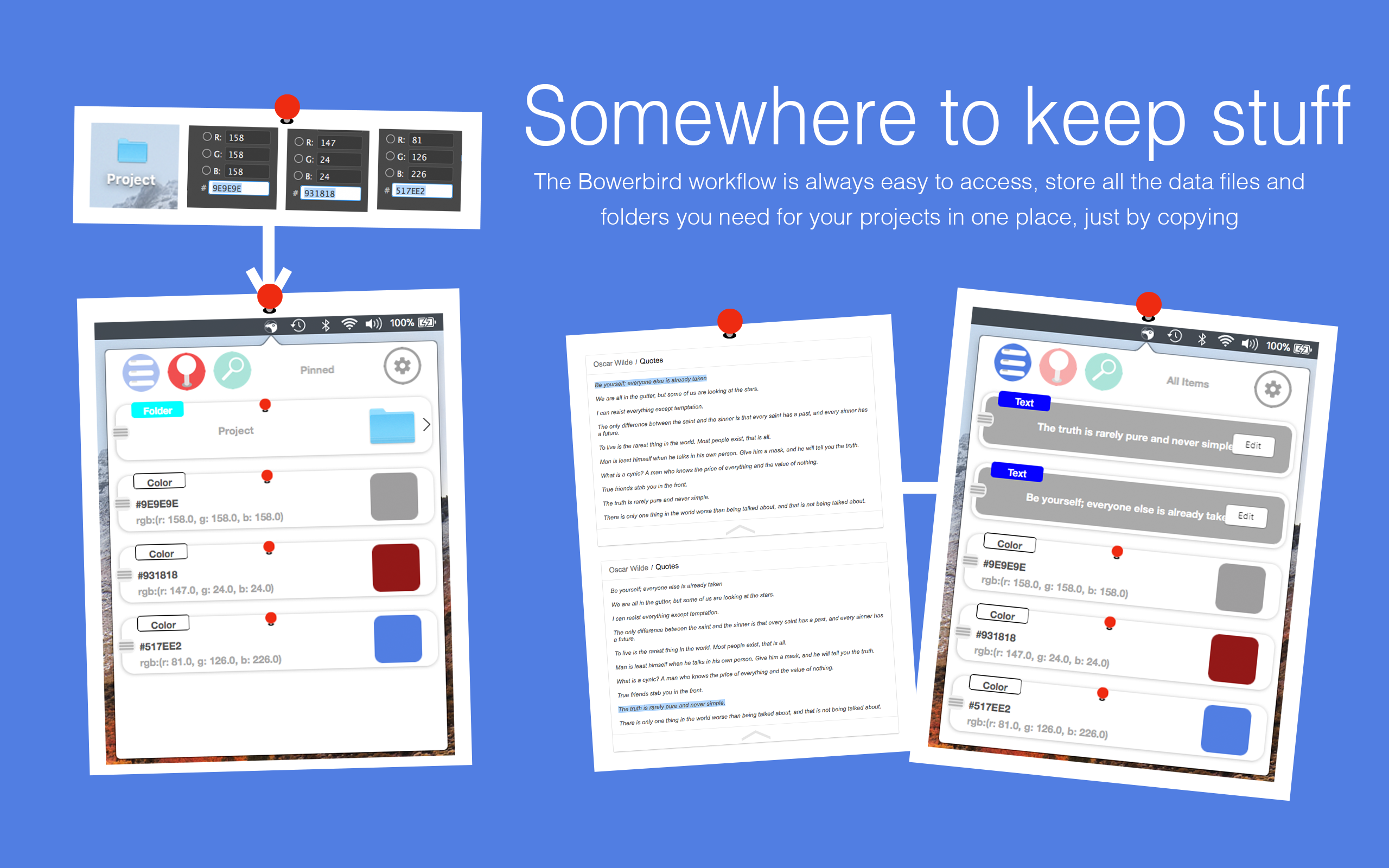 Bowerbird gallery image