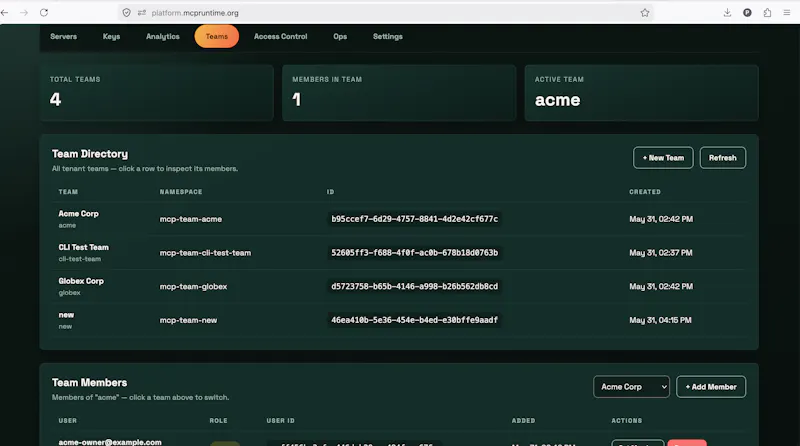 MCP Runtime screenshot 5