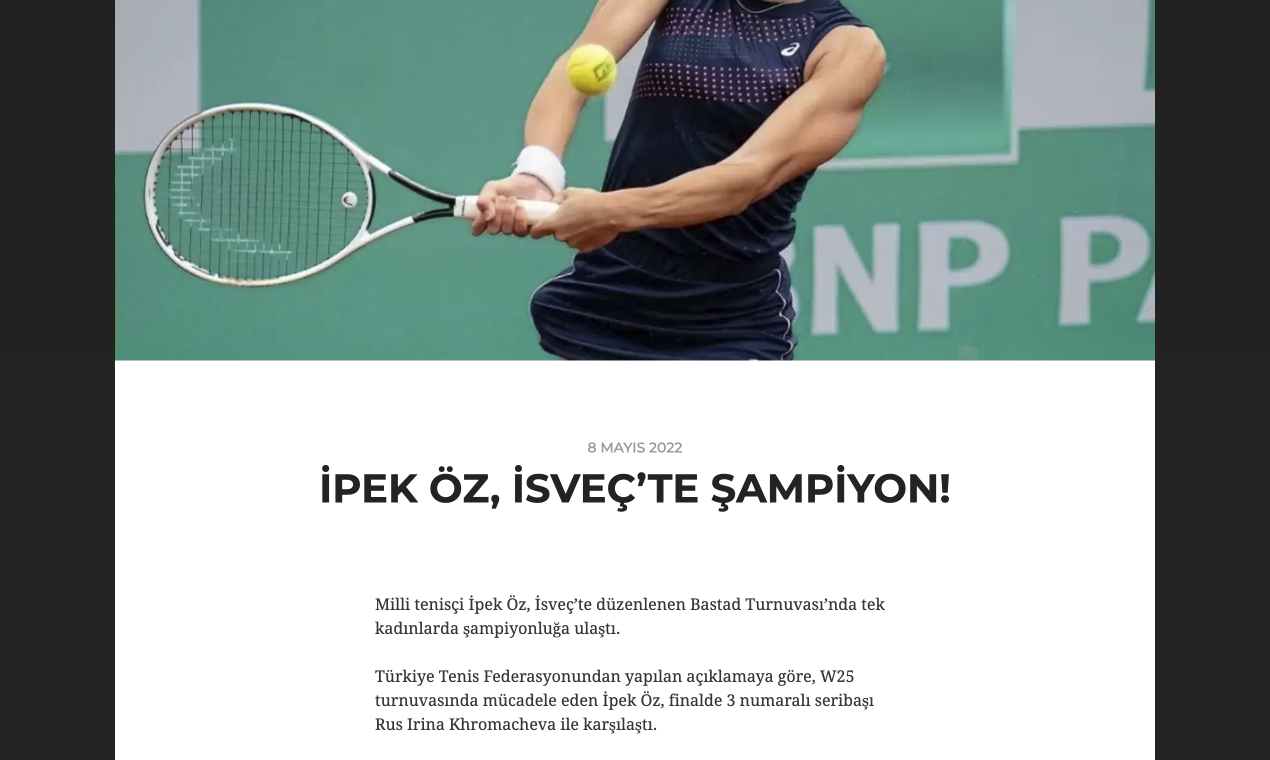 Bellek.org gallery image