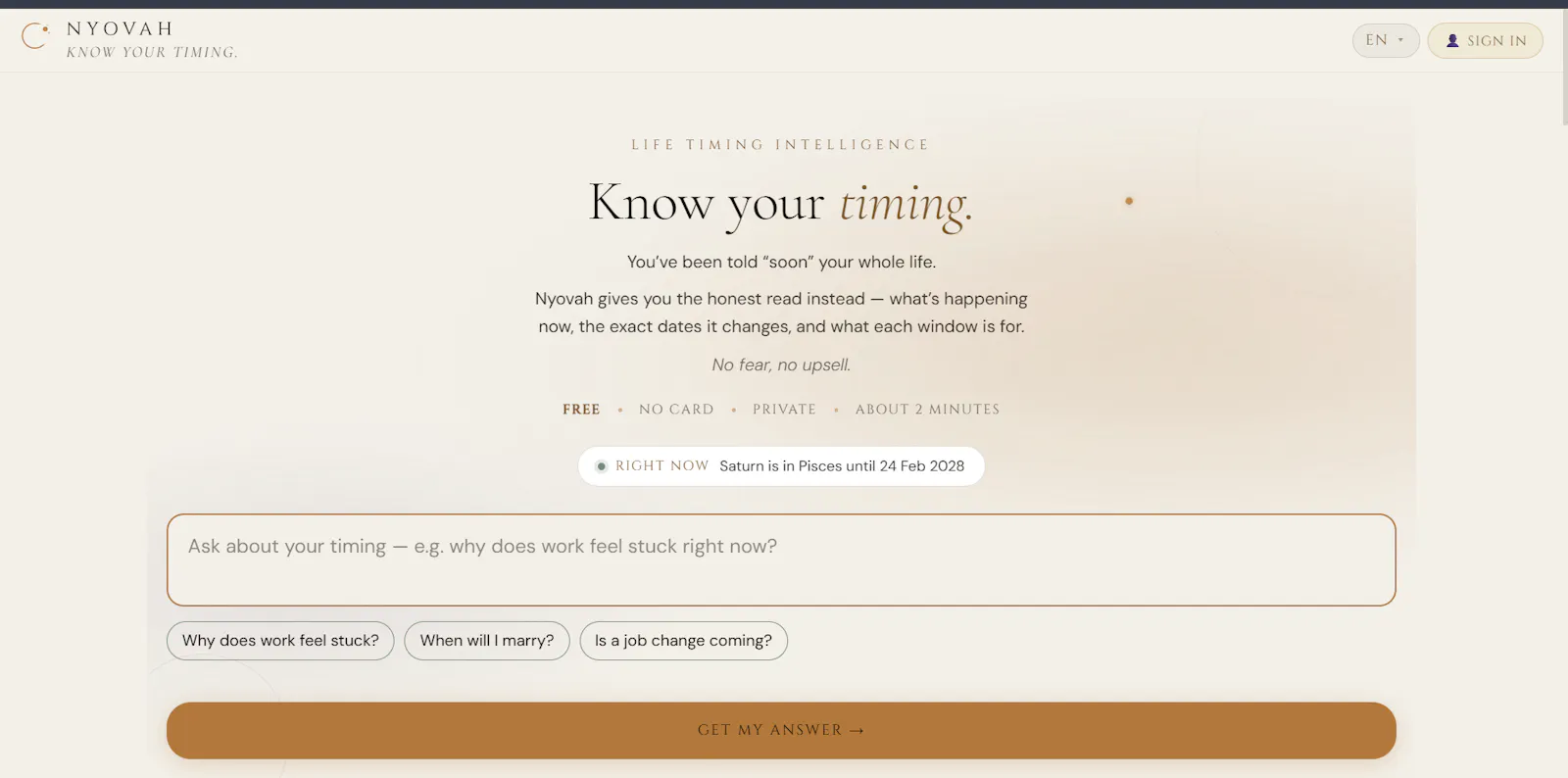 Nyovah screenshot 1
