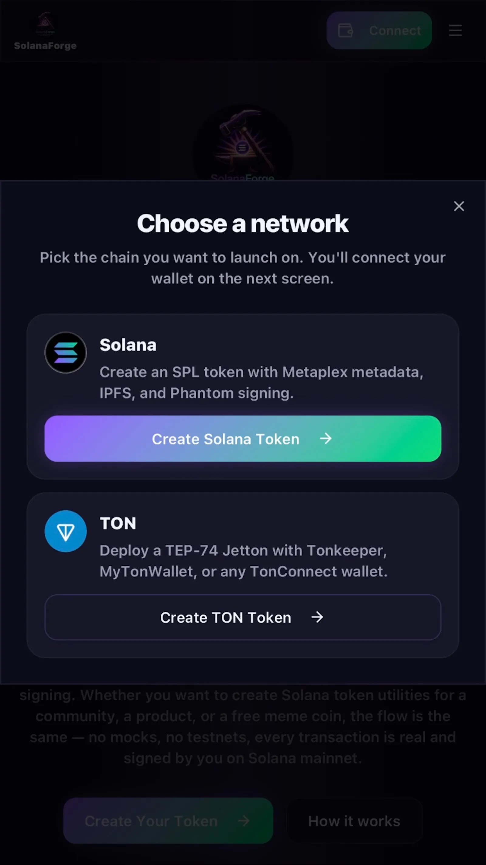 SolanaForge screenshot 6