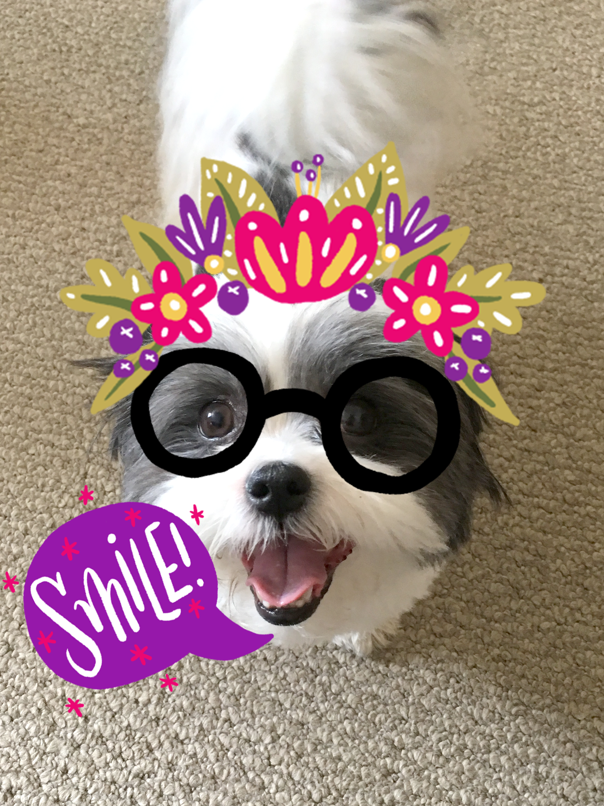 Photobooth iOS Stickers (FREE!) gallery image