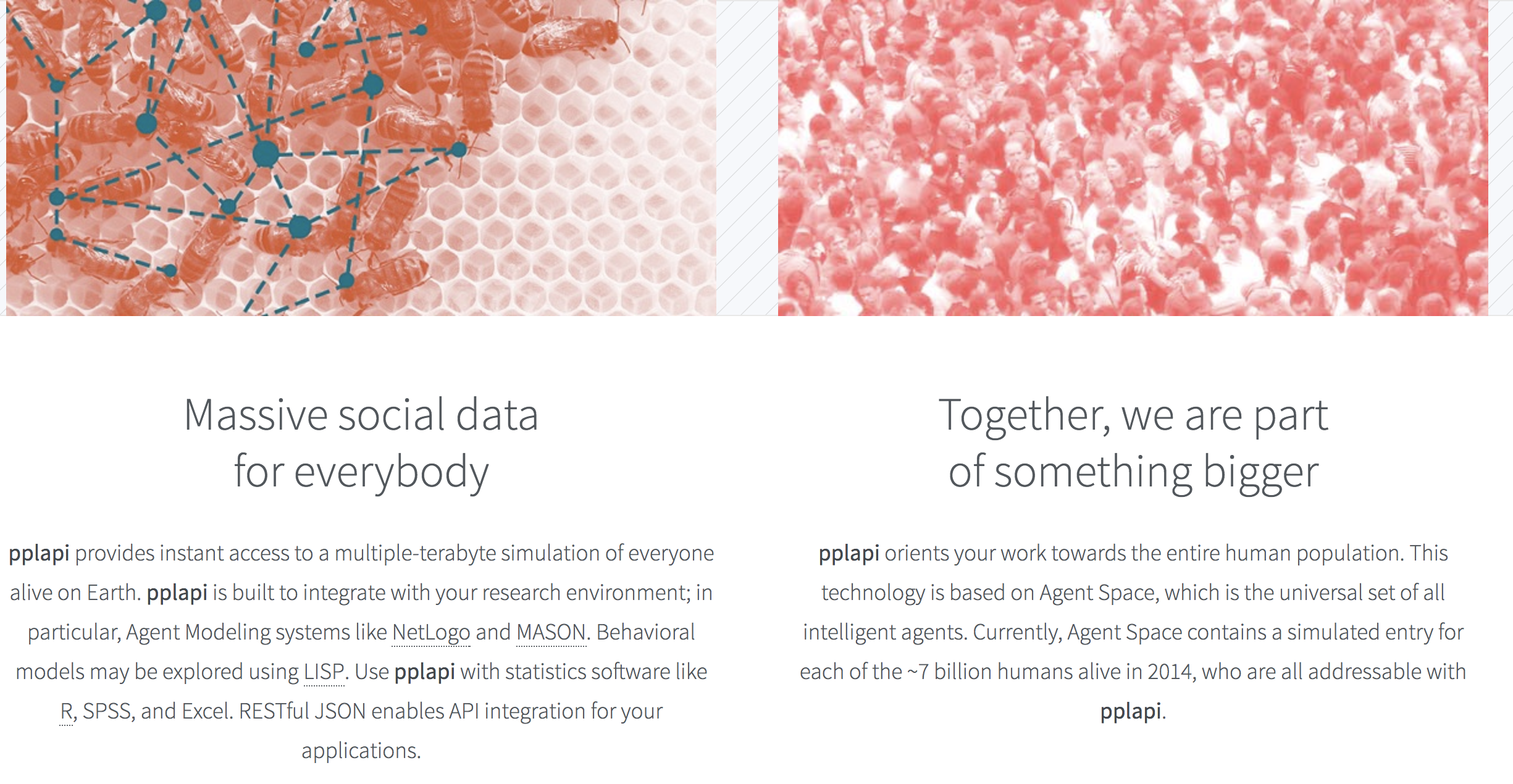 pplapi gallery image