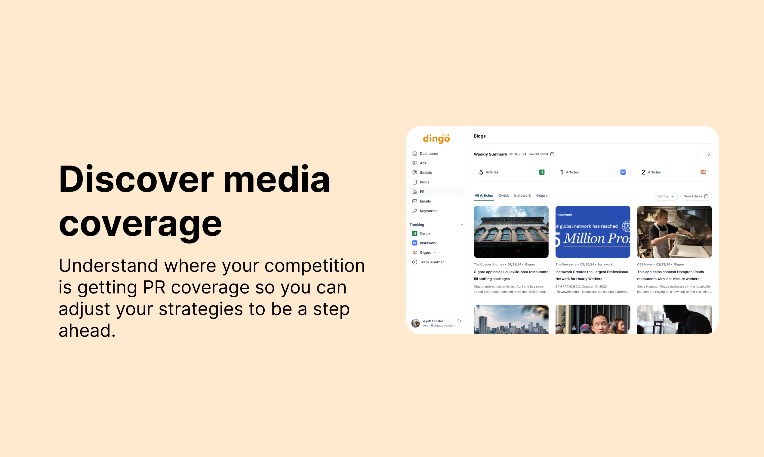 Dingo Dive gallery image