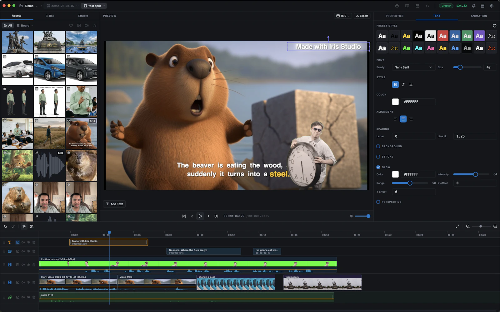 Iris Studio screenshot 5