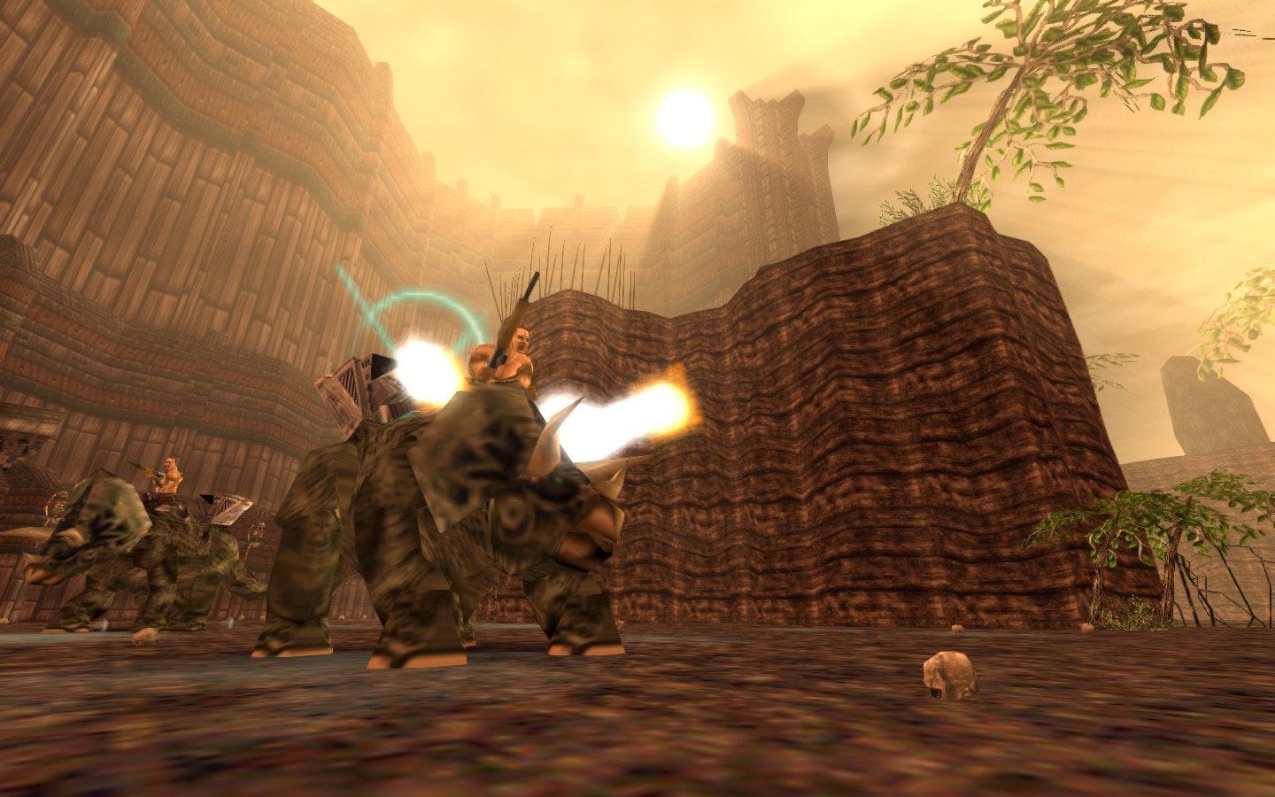 Turok gallery image