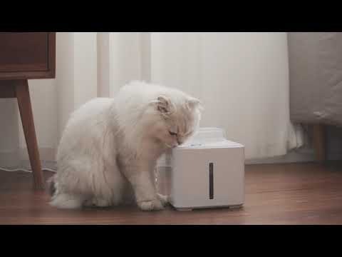 LAIKA Aqua Cat Water Fountain gallery image