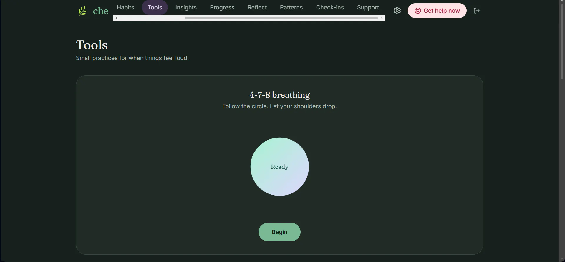 Che gallery image