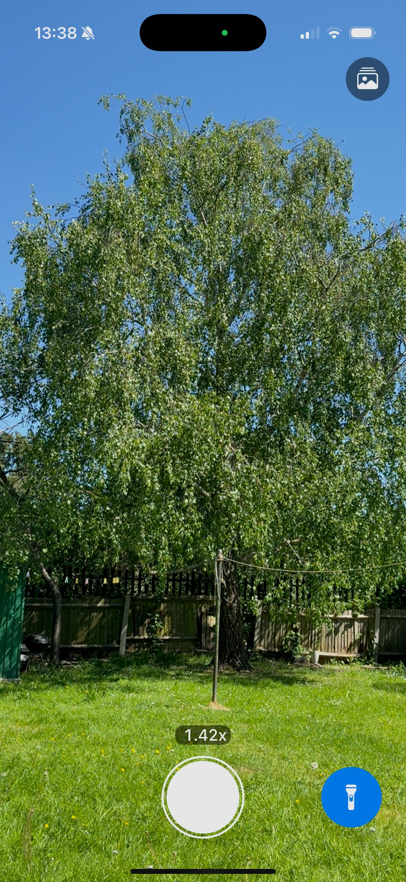 Remember gallery image