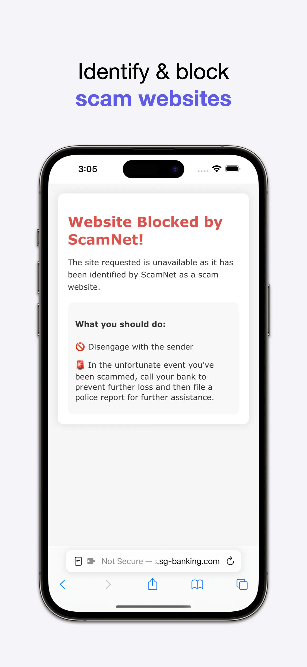 ScamNet gallery image