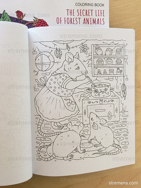 The Secret Life of Forest Animals gallery image