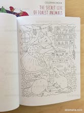 The Secret Life of Forest Animals gallery image