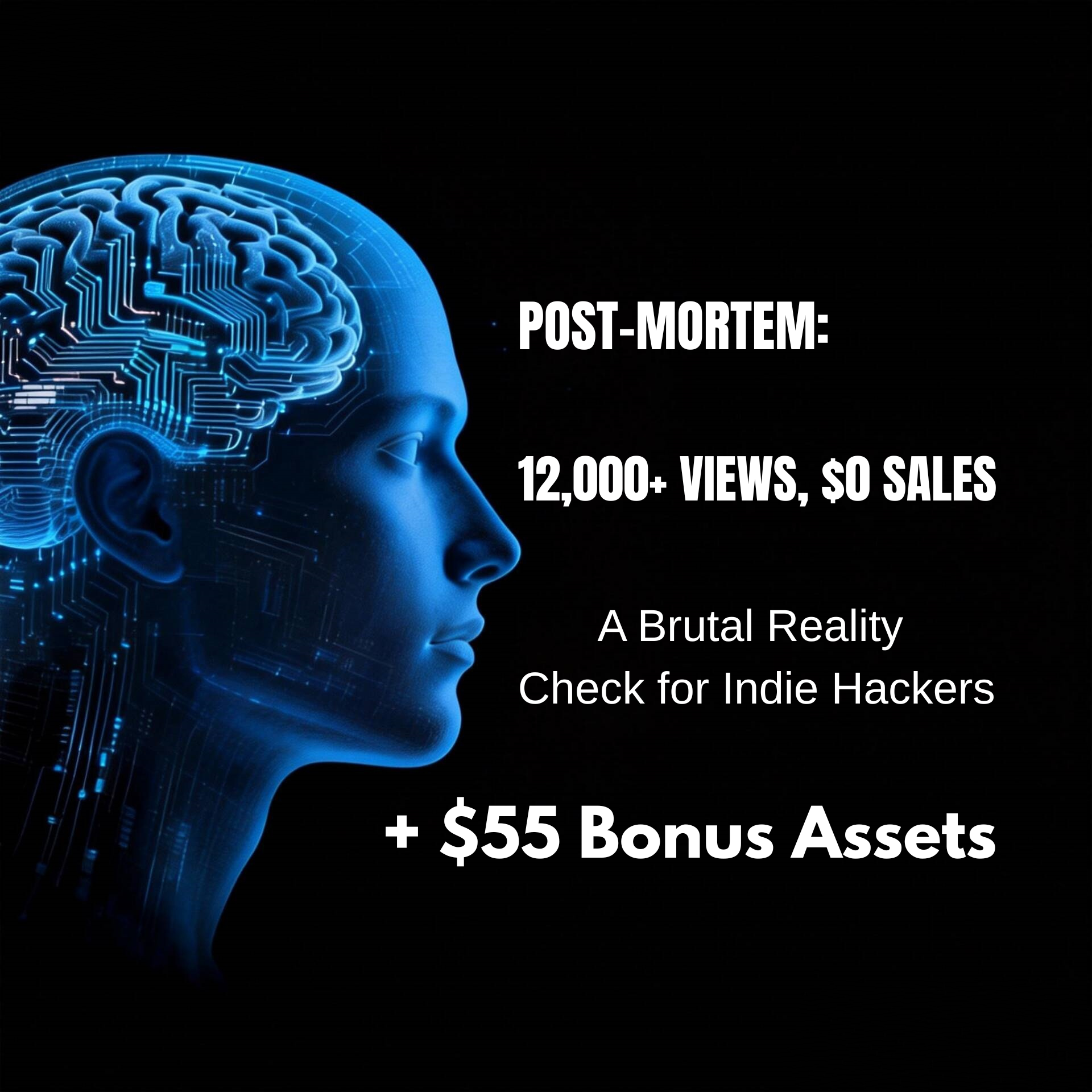Post-Mortem: 12k Views, $0 Revenue