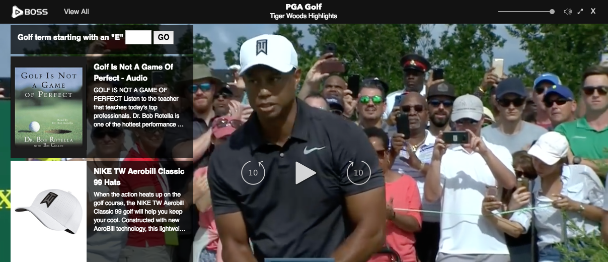 Boss Video Player gallery image