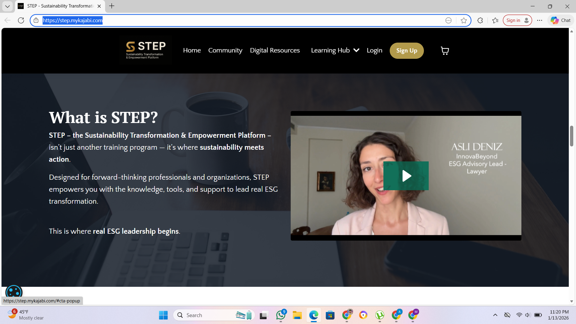 Step - Screenshot 3 showing product features and functionality