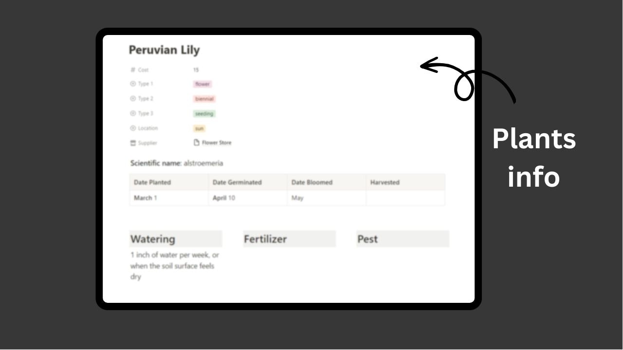 Notion Garden Planner gallery image