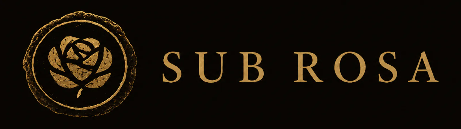 Sub Rosa screenshot 2