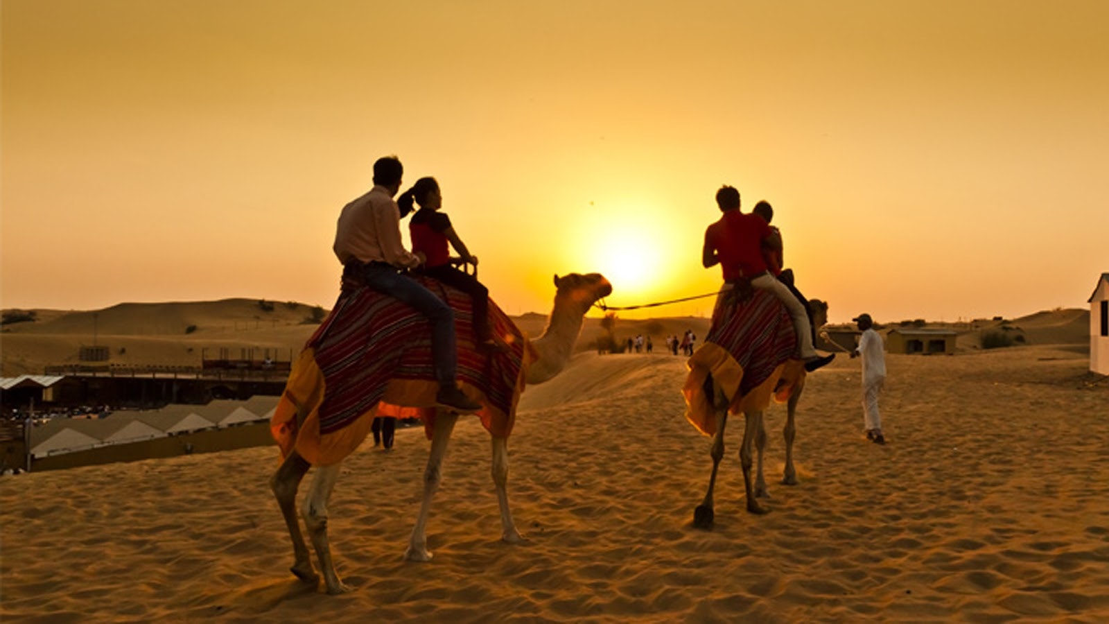 Sunset Safari Tour with Live BBQ gallery image