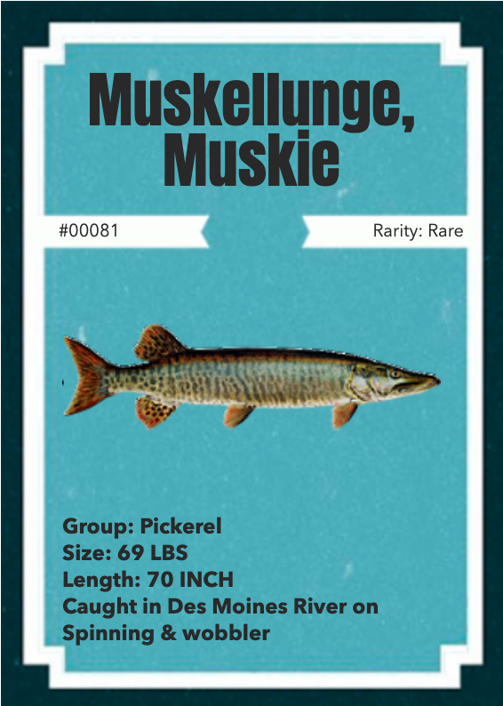 NFTs fishing - catch your rare NFT fish! gallery image