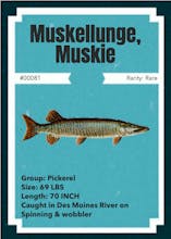 NFTs fishing - catch your rare NFT fish! gallery image